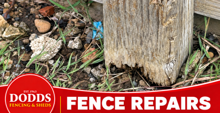 Damaged timber fence post showing rot, with Dodds fence repair branding