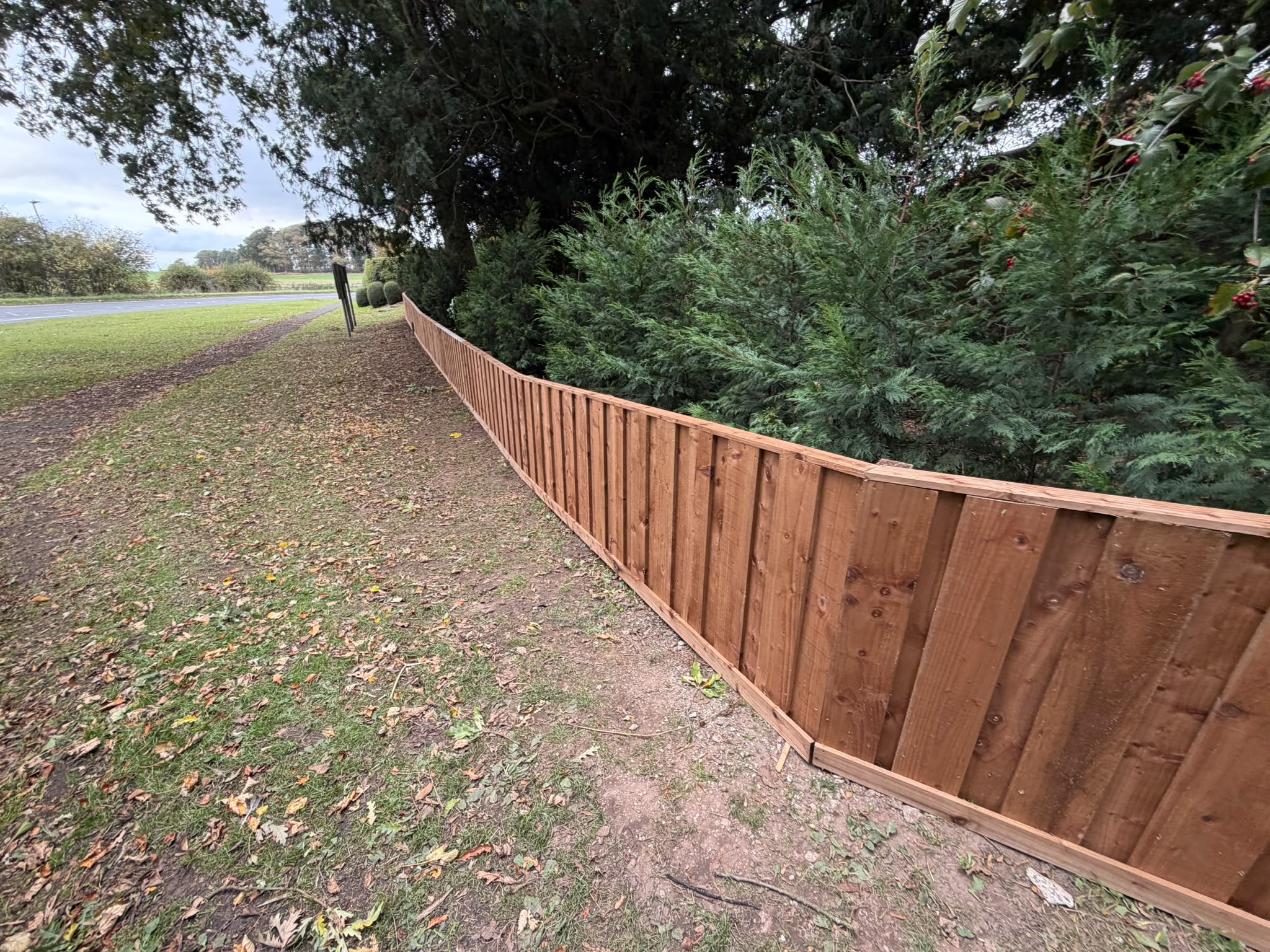 Timber acoustic fencing following a curved roadside boundary