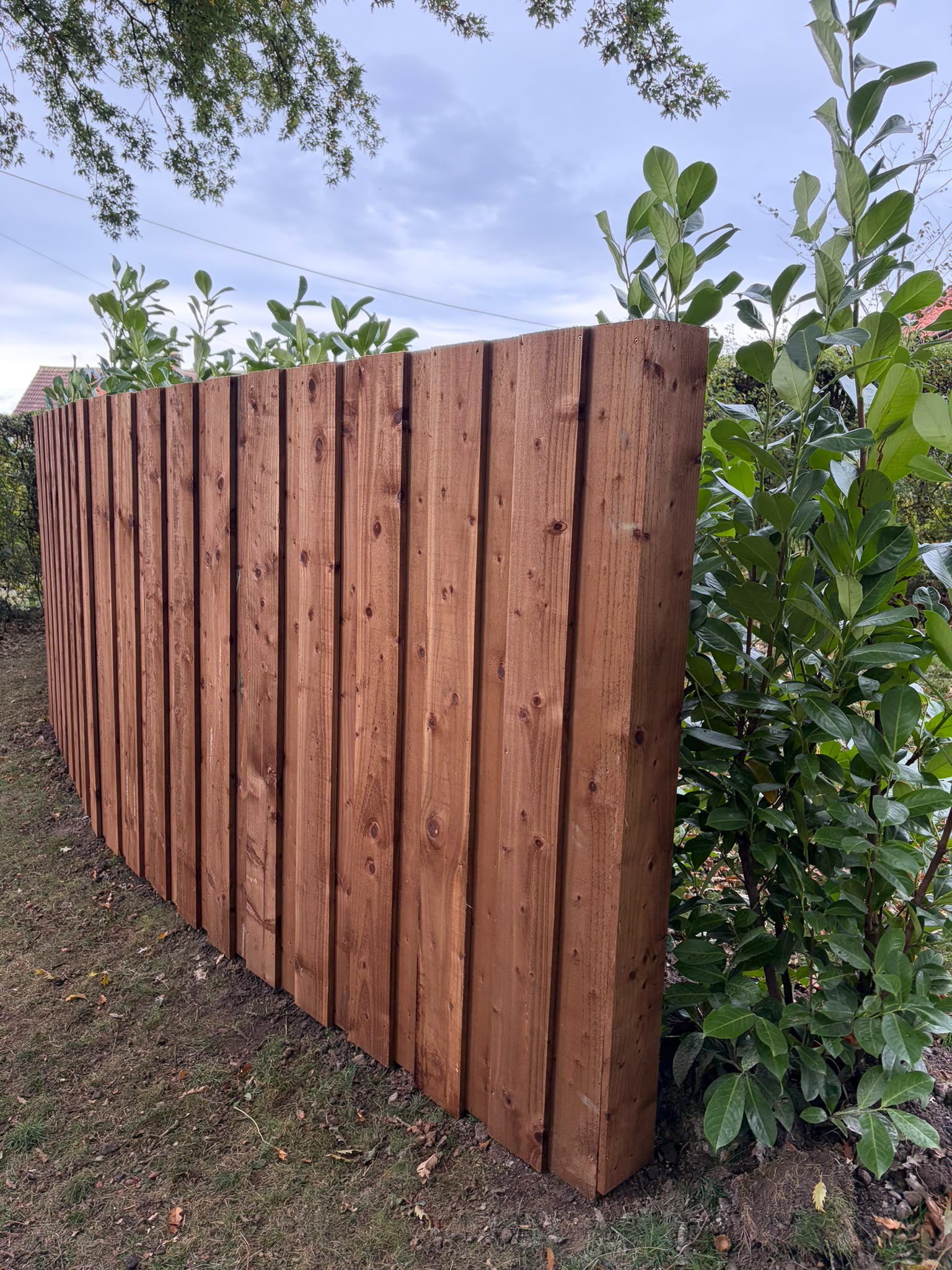 Close view of substantial timber acoustic fencing in Great Smeaton